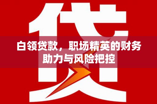 肇东白领贷款,职场精英的财务助力与风险把控 肇东白领贷款,职场精英的财务助力与风险把控