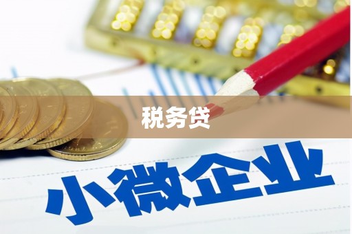 宝兴税务贷